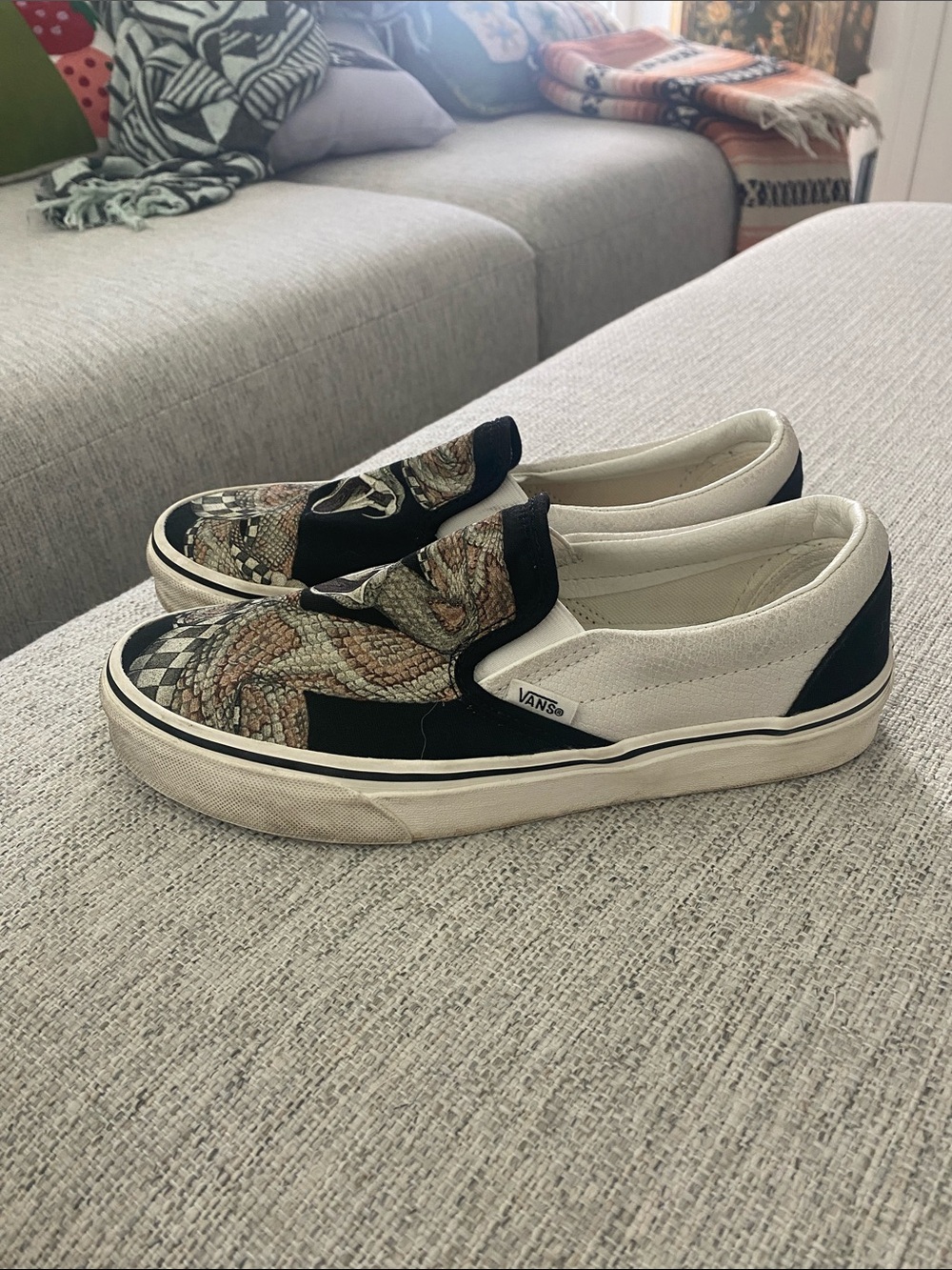 Vans Desert Snake Slip-On Sneakers - Picture 5 of 9
